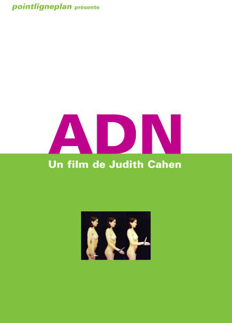 ADN Judith Cahen